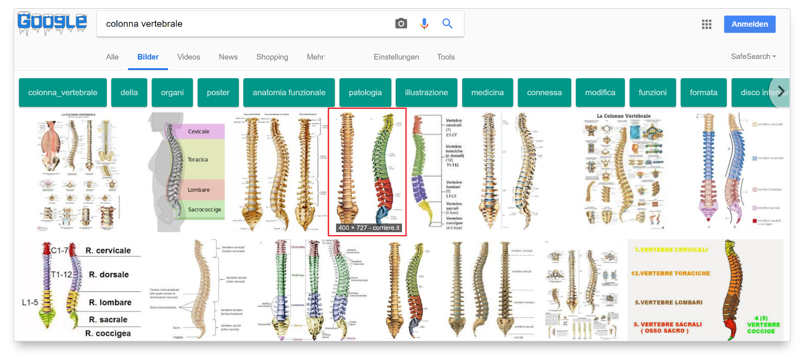 Ricerca immagini per "Colonna vertebrale"