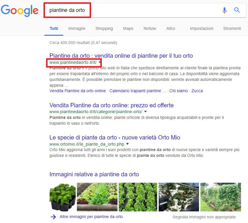 Per la query "piantine da orto" abbiamo trovato il dominio che corrisponde alla keyword (piantinedaorto.it) all'interno dei risultati di ricerca organici.
