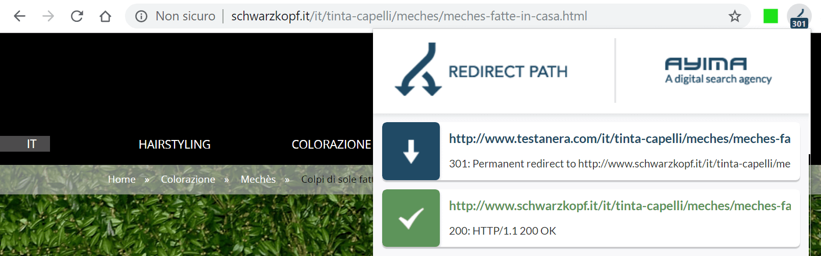 Il Plugin Ayima Redirect Path mostra i codici di stato di una pagina web