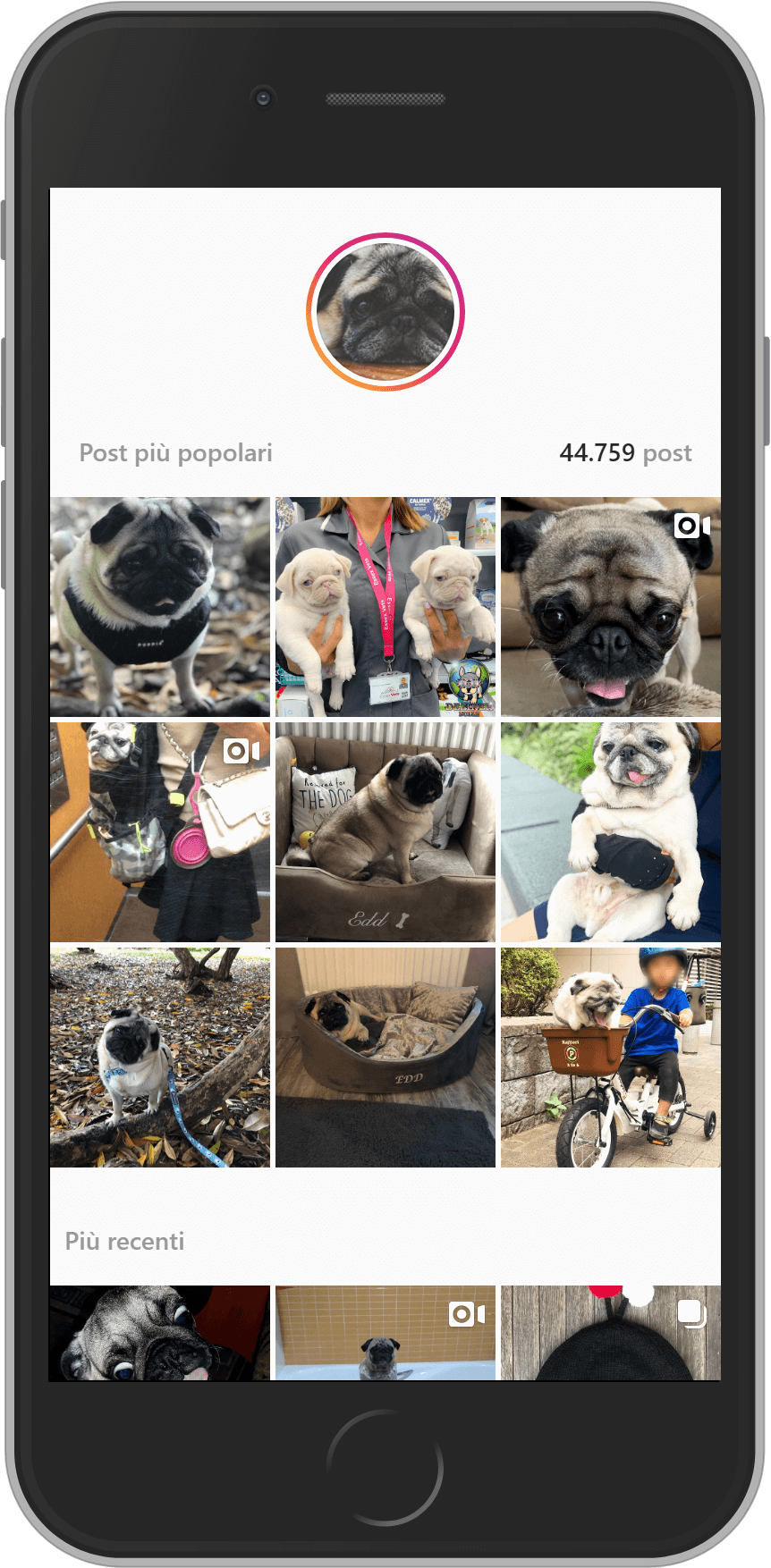 Esempio di ricerca su Instagram