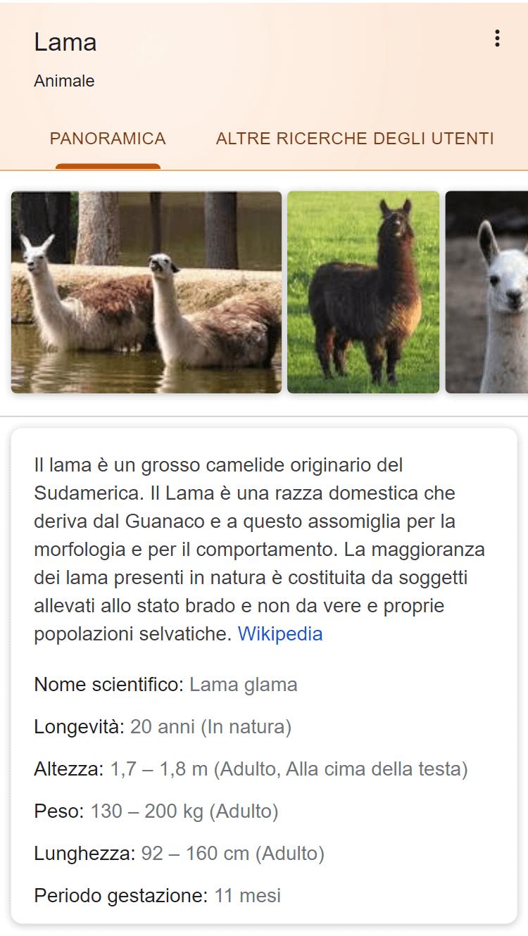 Esempio di Rich Snippet da Google