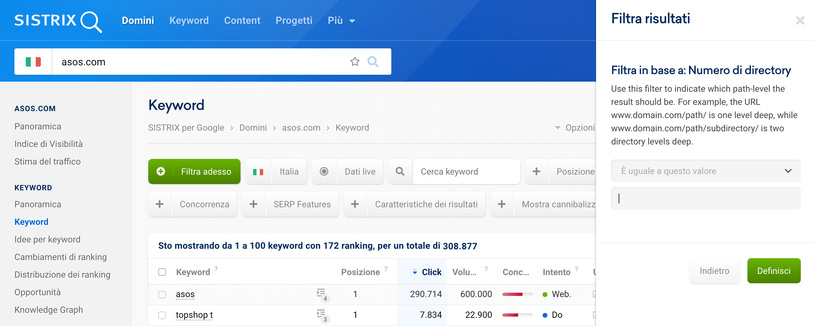 Impostare filtri personalizzati per la tabella delle keyword nel Toolbox SISTRIX