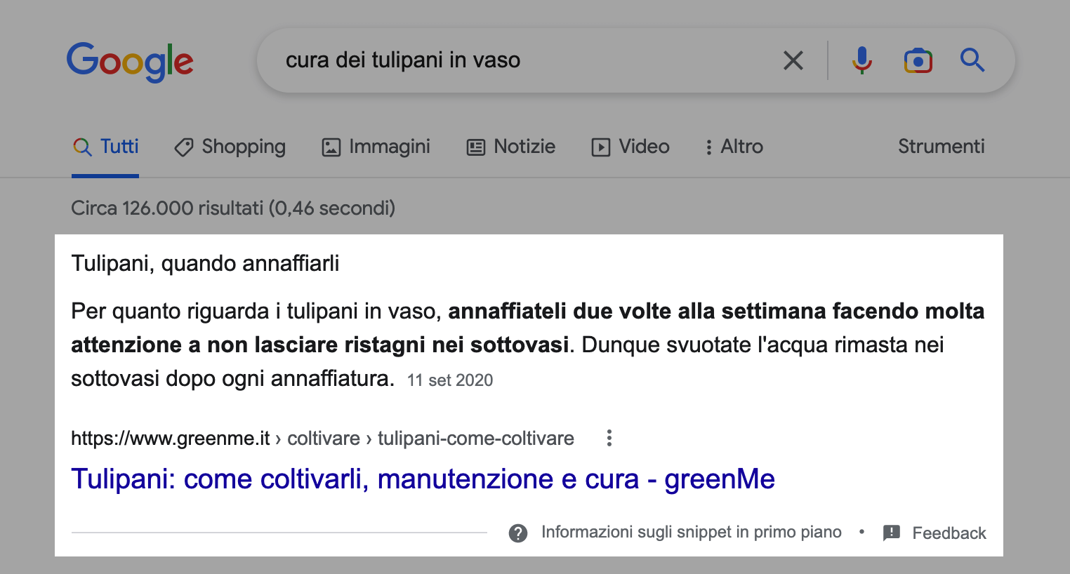 Esempio di un featured snippet nei risultati di ricerca di Google