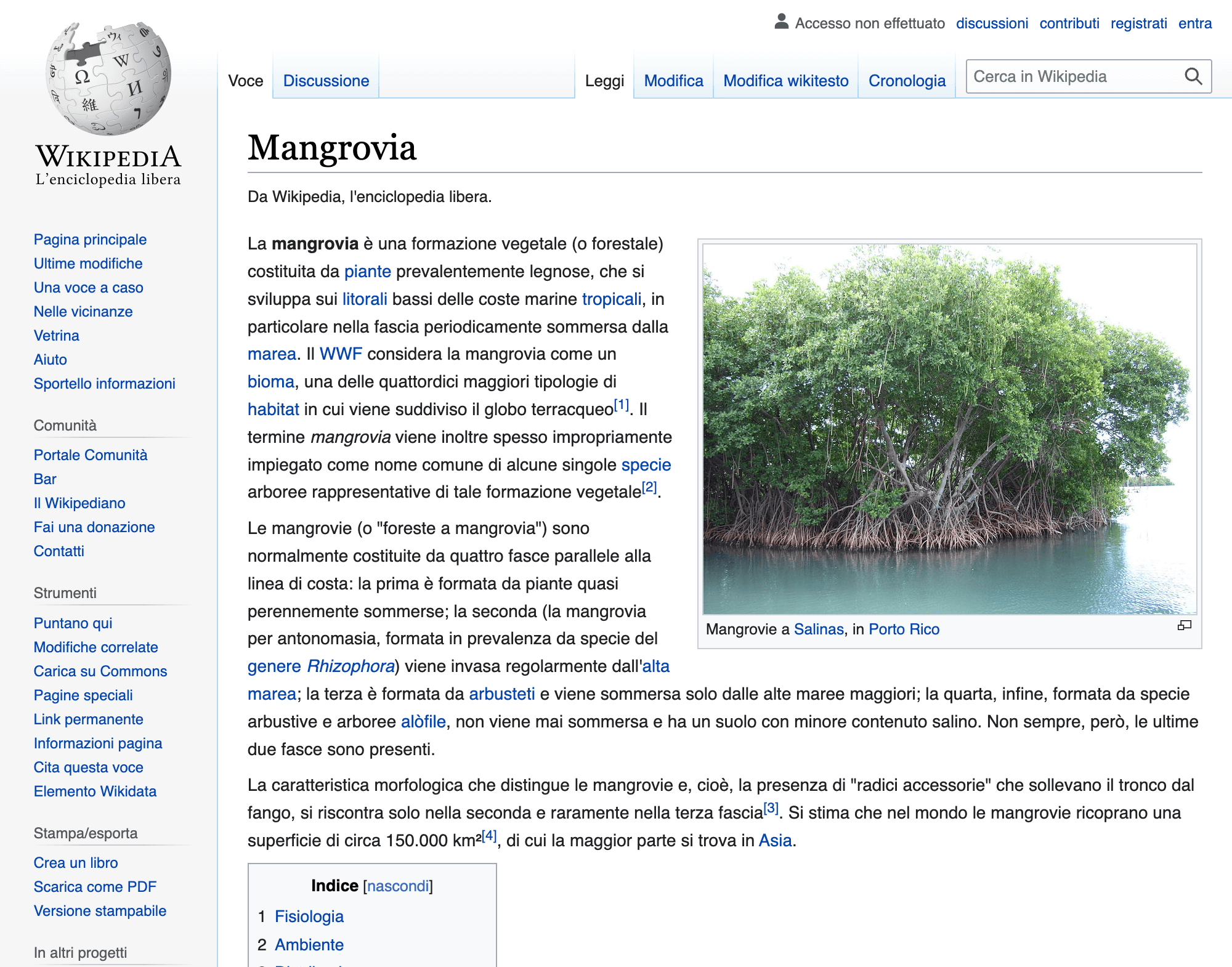 Mostra la pagina di Wikipedia per il termine "mangrovia"