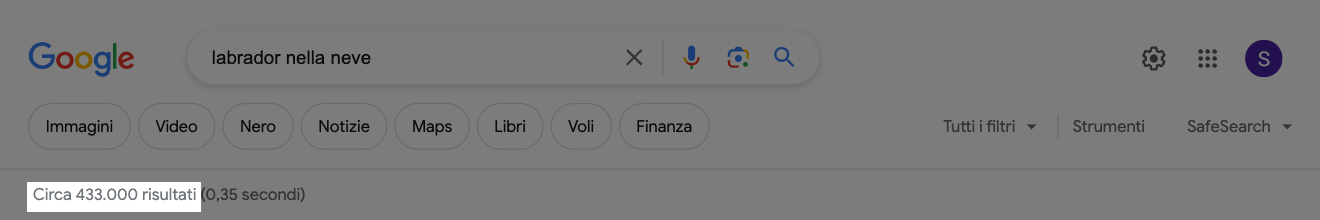 Esempio di query su Google per la keyword "labrador nella neve". L'informazione "Circa 433.000" viene messa in evidenza.