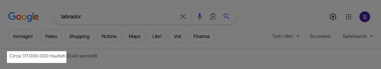 Esempio di query su Google per la keyword "labrador". L'informazione "Circa 177.000.000 risultati" è evidenziata.