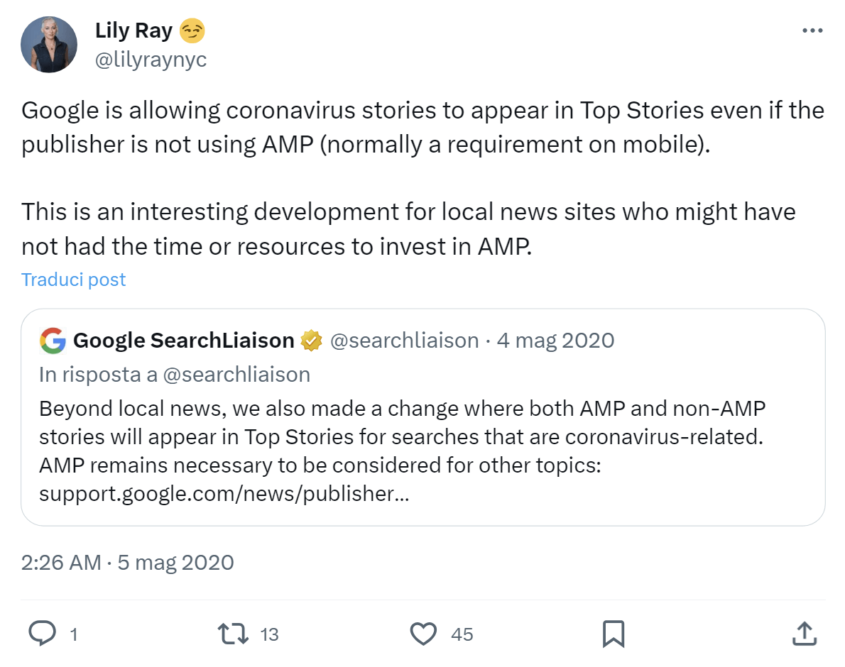 Tweet di Lily Ray su AMP
