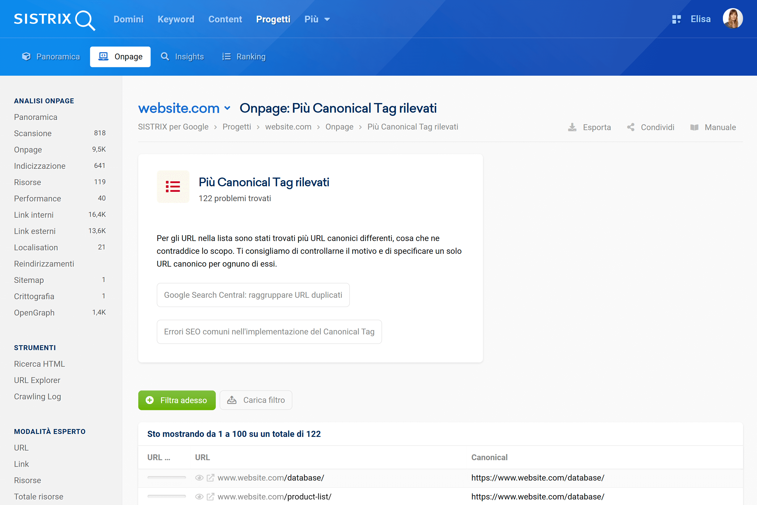 Esempio di errore di un canonical tag su SISTRIX