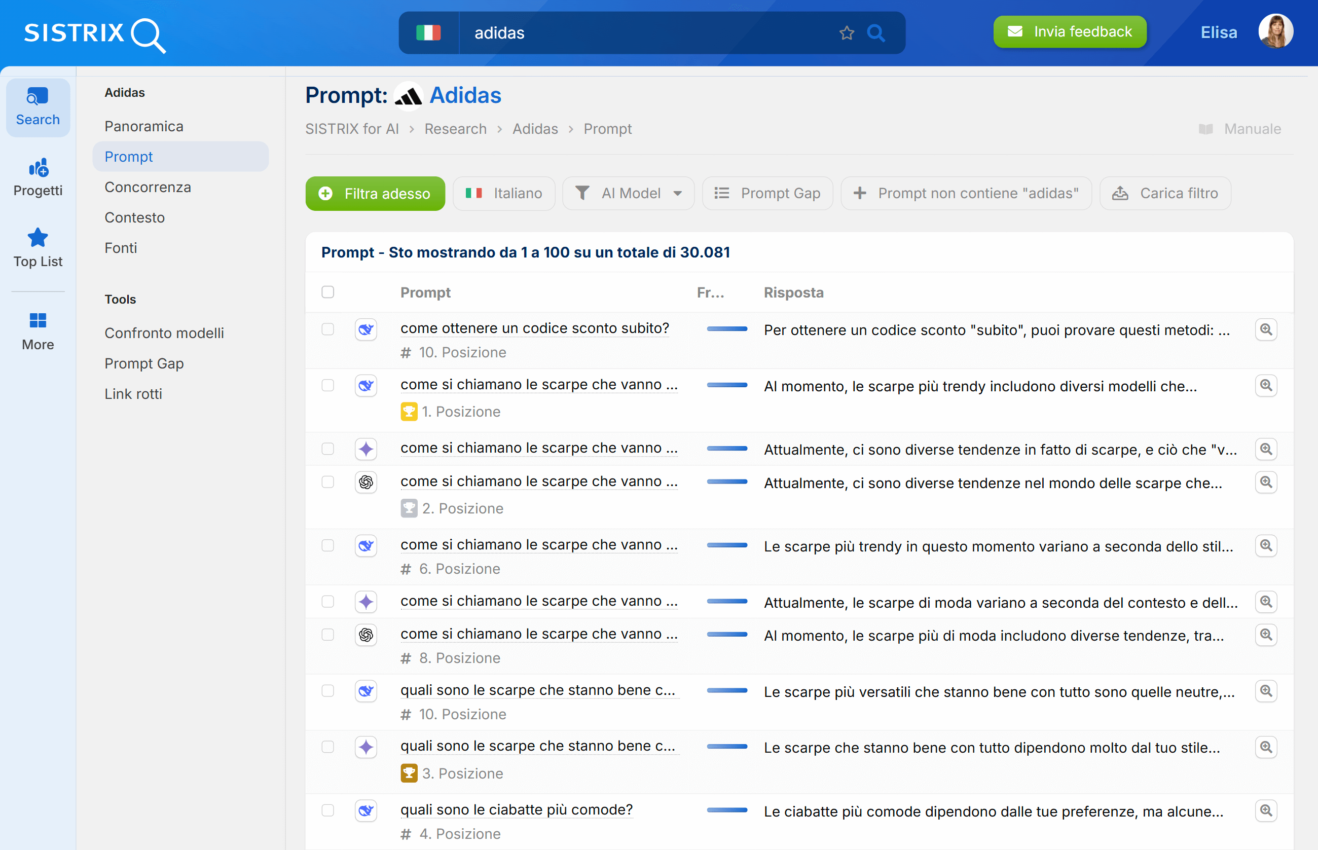 Esempio della sezione "Prompt" di SISTRIX