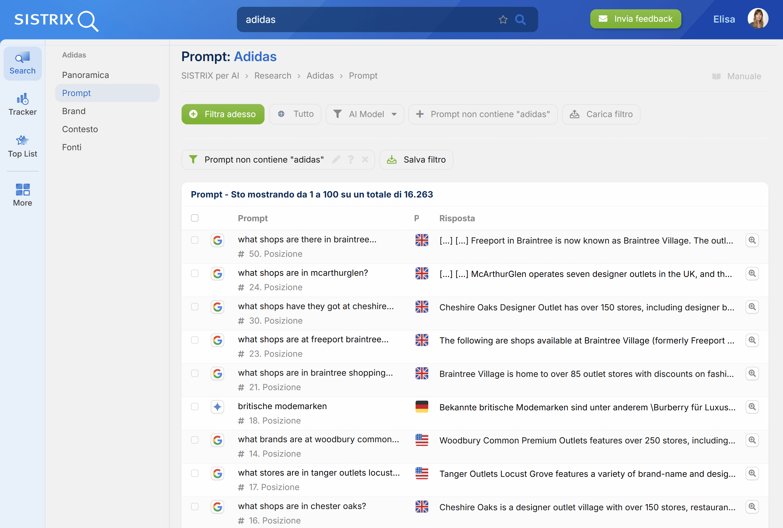 Esempio del filtro per i prompt su SISTRIX